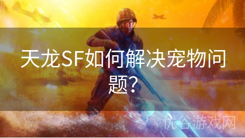 天龙SF如何解决宠物问题？