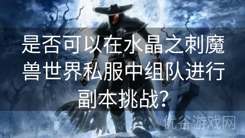 是否可以在水晶之刺魔兽世界私服中组队进行副本挑战？