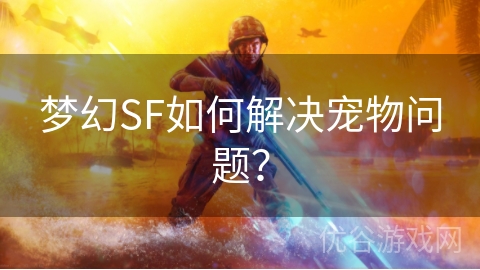 梦幻SF如何解决宠物问题？