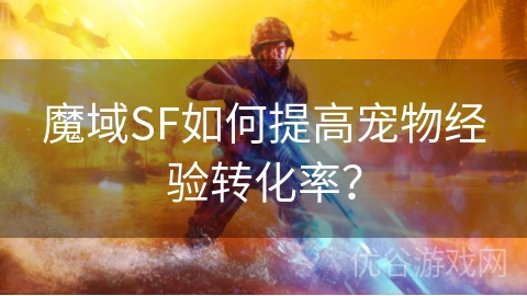 魔域SF如何提高宠物经验转化率？