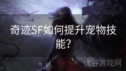 奇迹SF如何提升宠物技能？