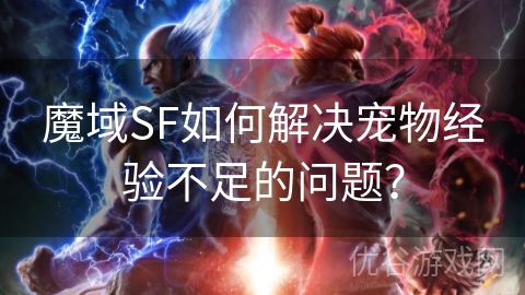 魔域SF如何解决宠物经验不足的问题？