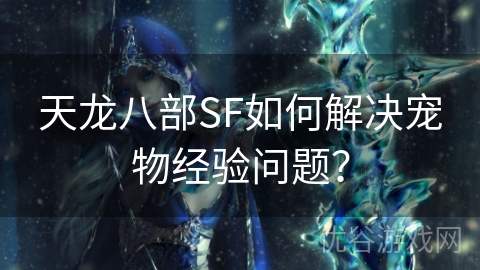 天龙八部SF如何解决宠物经验问题？