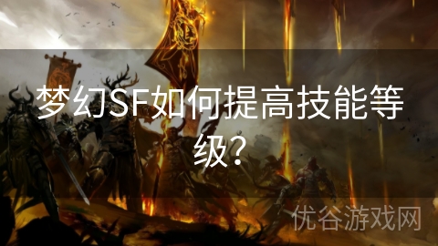 梦幻SF如何提高技能等级？