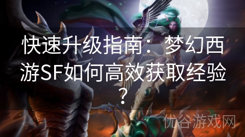 快速升级指南：梦幻西游SF如何高效获取经验？