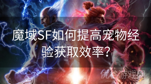 魔域SF如何提高宠物经验获取效率？