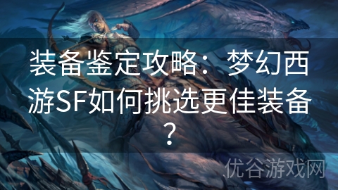 装备鉴定攻略：梦幻西游SF如何挑选更佳装备？