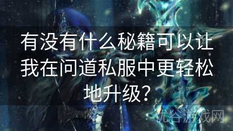 有没有什么秘籍可以让我在问道私服中更轻松地升级？