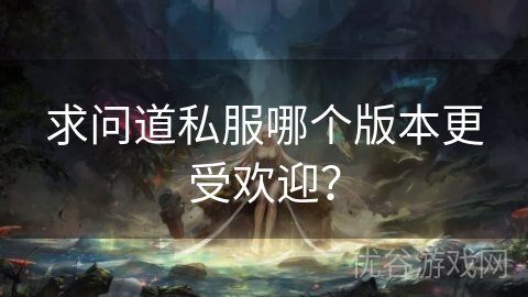 求问道私服哪个版本更受欢迎？